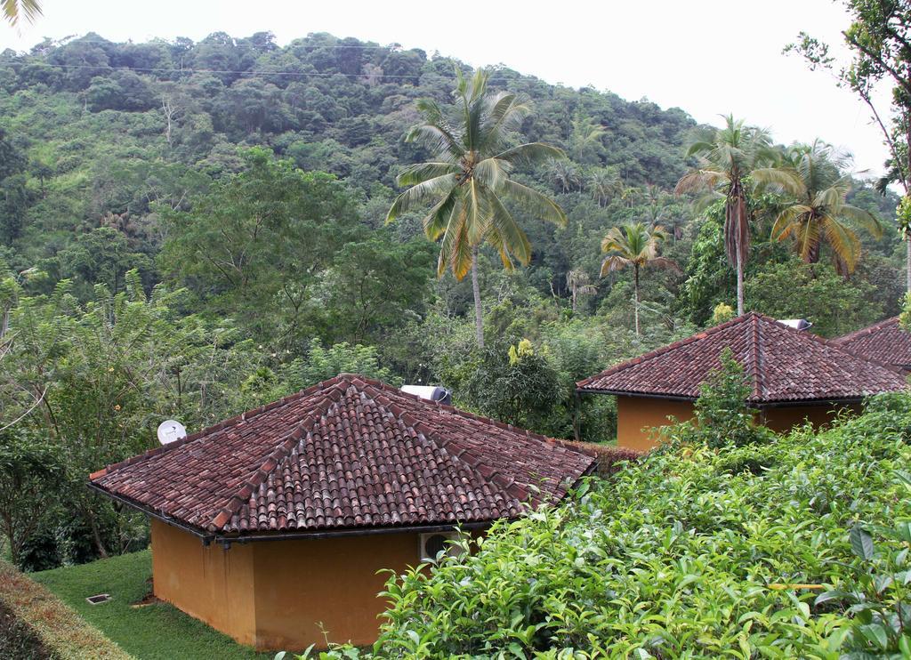 Athulya Villas, Kandy Kadugannawa Exteriér fotografie