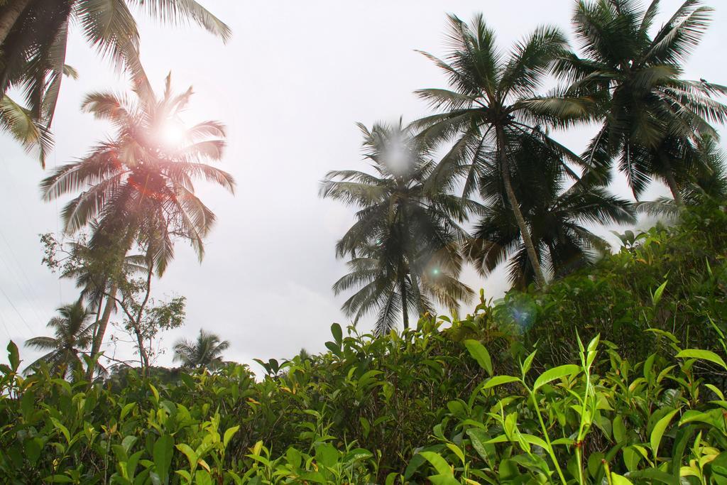 Athulya Villas, Kandy Kadugannawa Exteriér fotografie