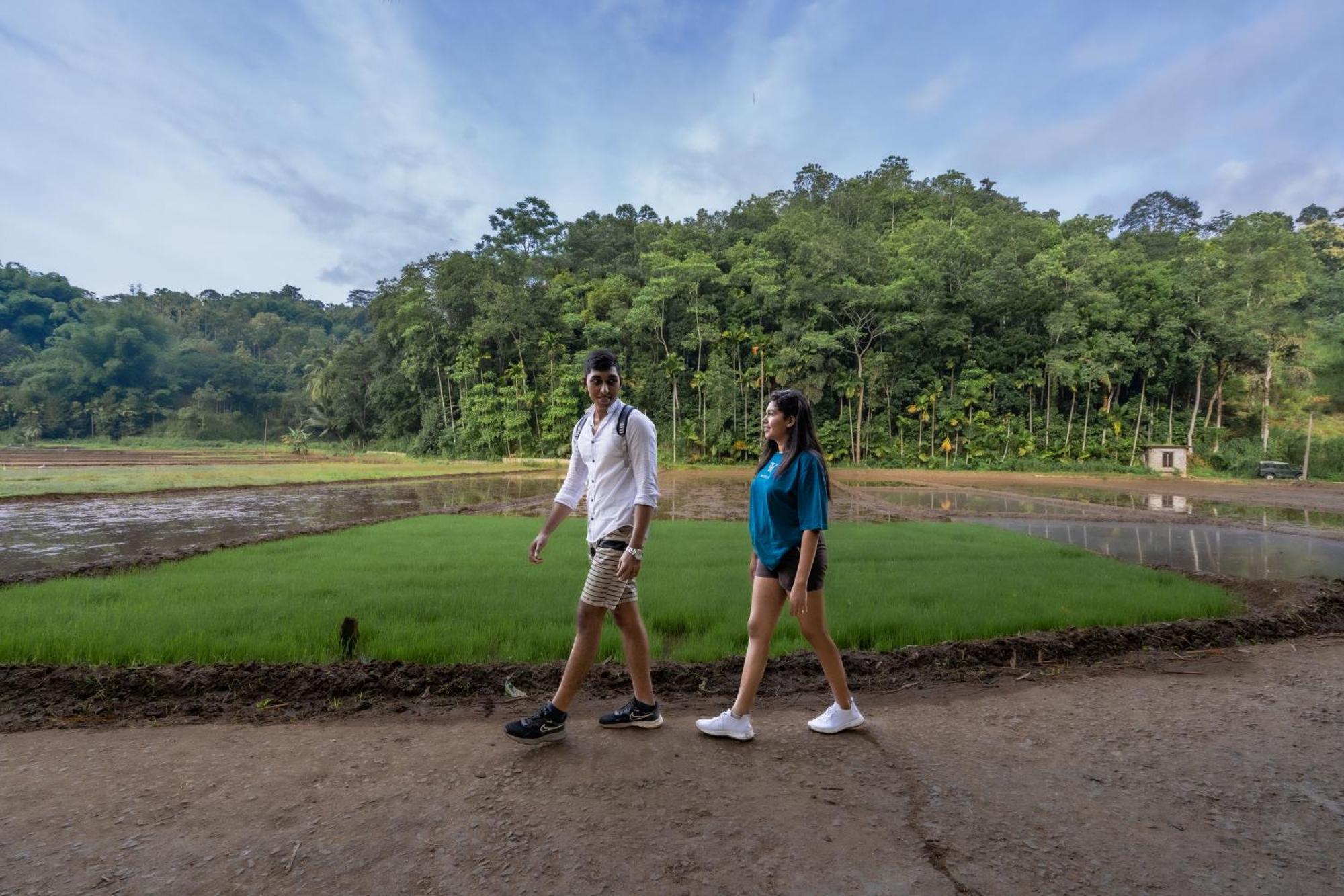 Athulya Villas, Kandy Kadugannawa Exteriér fotografie